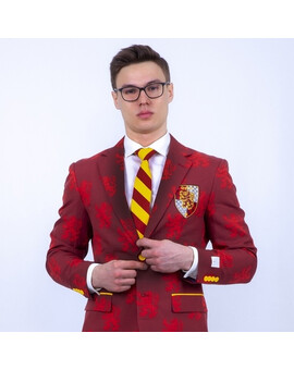 Прокат мужского костюма Гриффиндор, изображение 1
